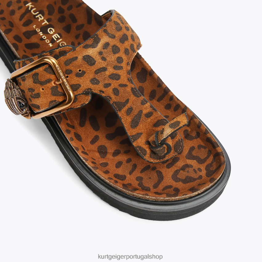 Kurt Geiger mulheres slides com barra t com fivela águia londres 8J6X00442 marrom médio | calçados